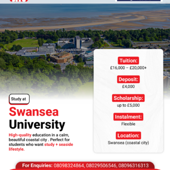 swansea university